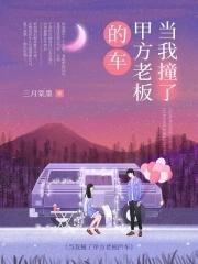 当我撞了甲方老板的车 当我撞了甲方老板的车