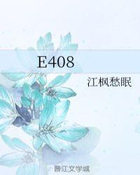 E408 E408