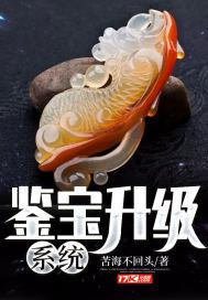 鉴宝升级系统 鉴宝升级系统
